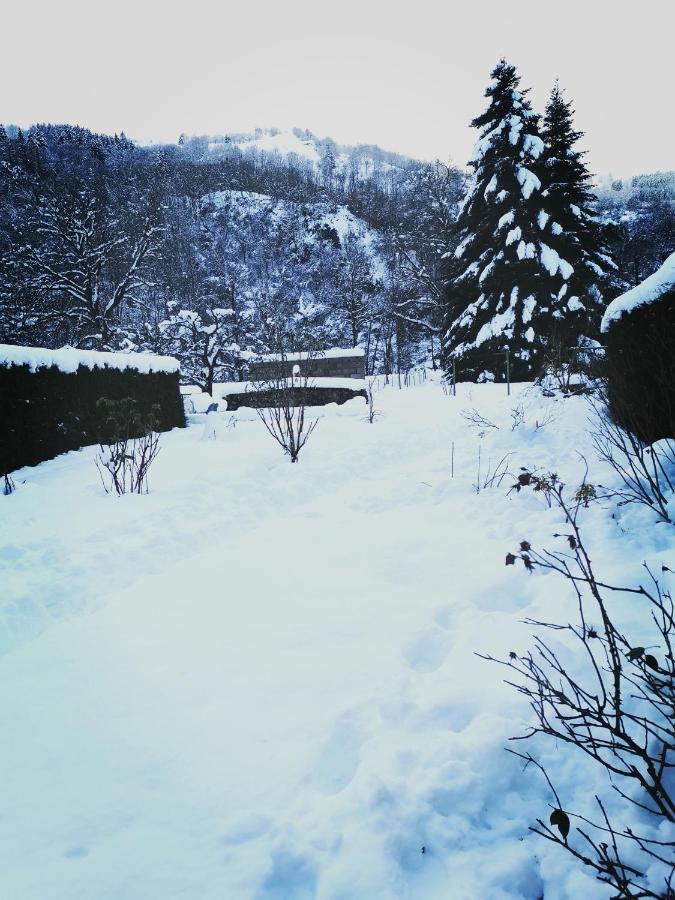 Carpe Diem - Cote-Montagnes Oderen ภายนอก รูปภาพ